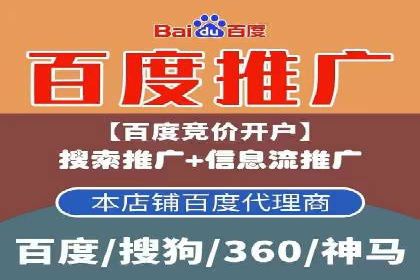 解析SEM托管公司经典案例：如何制定有效的广告策略